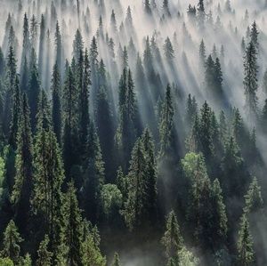 Meet your Posher, Joshua